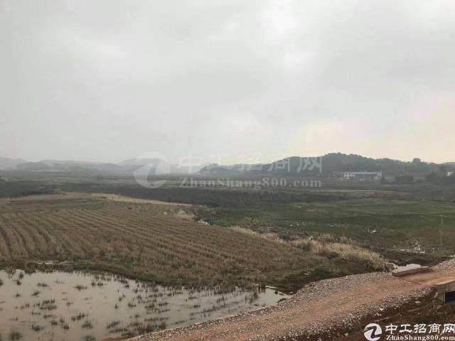 湖南省湘潭市雨湖区国有土地出售、国家扶持政策优惠多多3