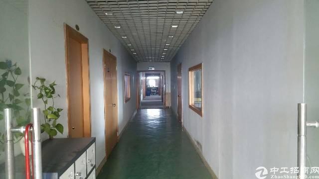 布龙路地铁口原房东写字楼324平无公摊30租