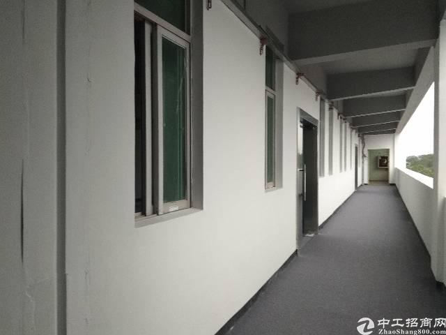 观澜带装修写字楼大小面积分租