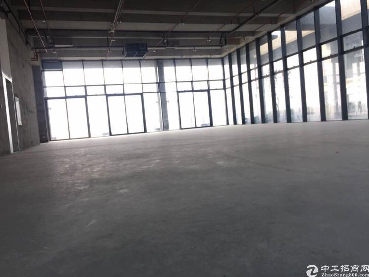 西乡机场旁新出整栋写字楼5000平方