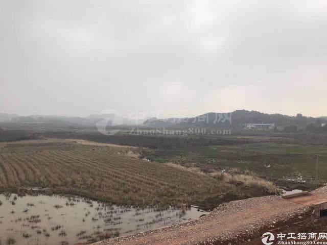 湘潭市雨湖国有指标土地200亩出售4