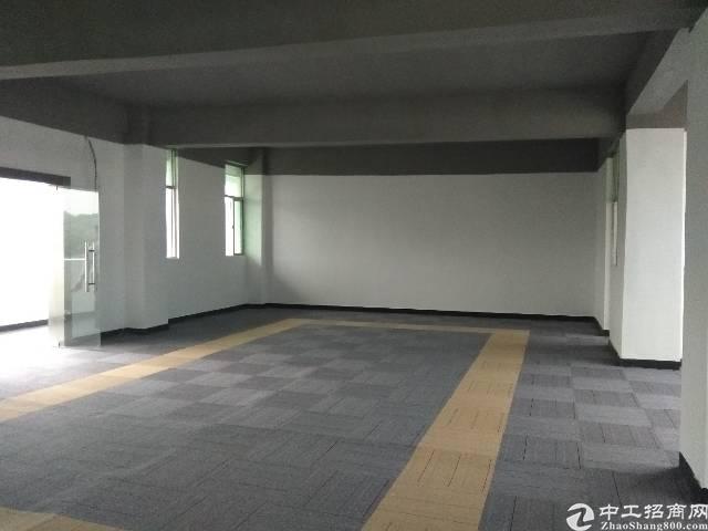 观澜带装修写字楼大小面积分租