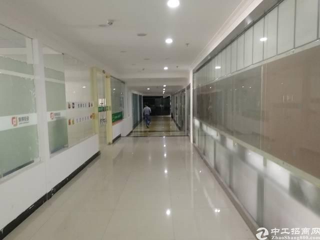 沙井街道办新出精装修 写字楼