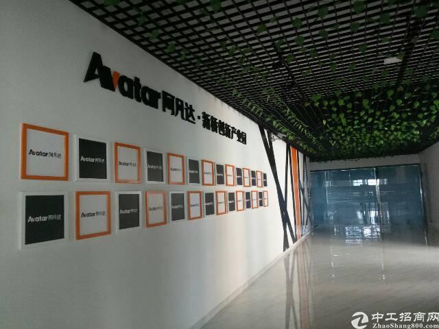 阿凡达高新科技园