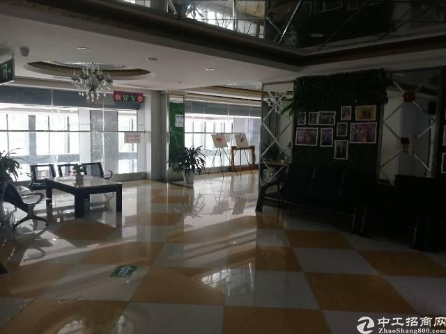 沙井街道办新出精装修 写字楼