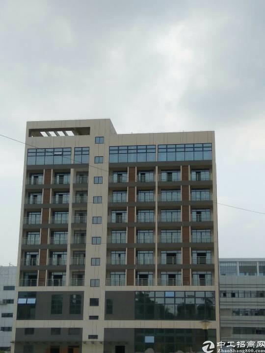龙岗中心城写字楼招租