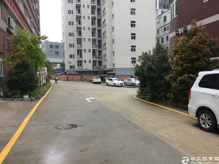 龙华天虹商场附近3楼带精装修写字楼625平方米
