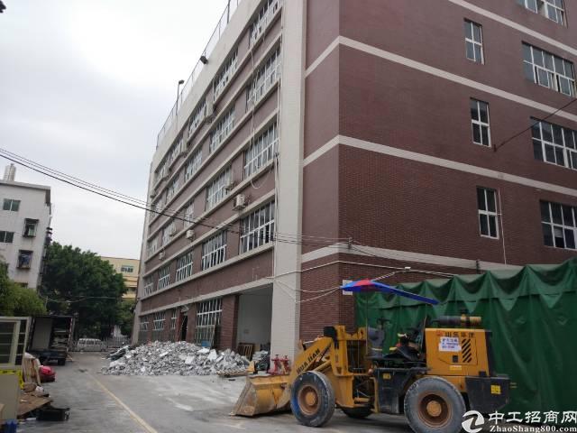 大浪新出优质红本写字楼1-5楼