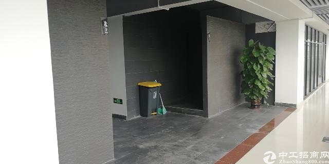 沙井西部原房东精装写字楼