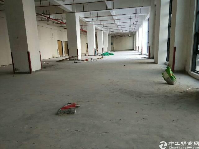 观澜章阁全新写字楼招租大小分租
