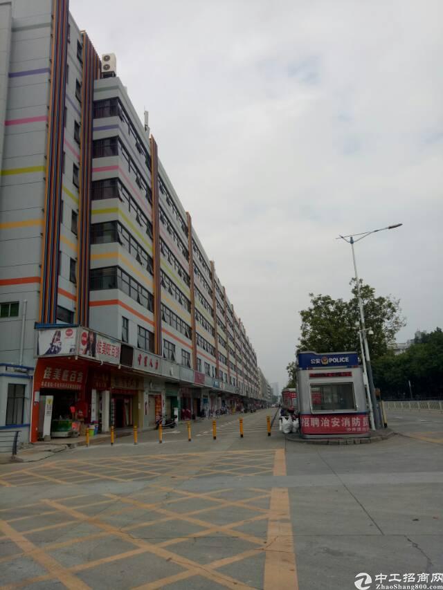 长兴科技园招租