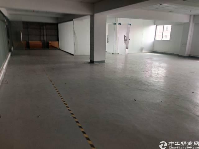 龙华清湖地铁站附近新出厂房300平，可以电商仓库培训研发行业