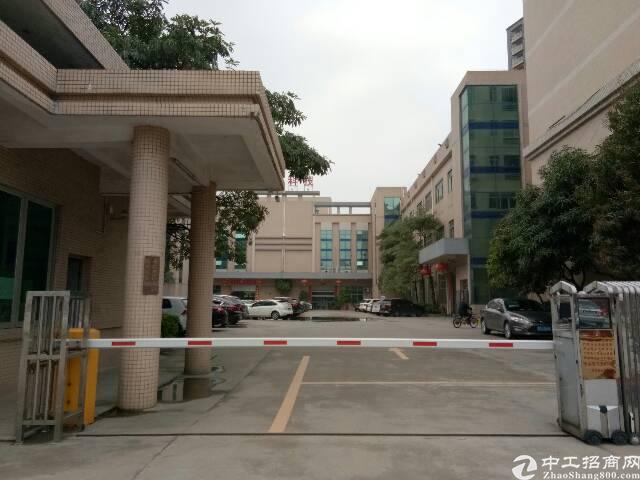东莞长安镇有多少人口_东莞长安镇莲花山公园