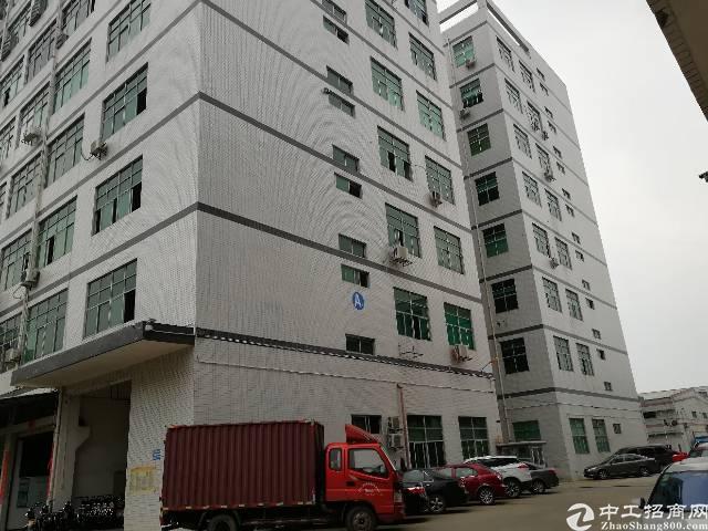 公明 楼上整层1470平带消防喷淋