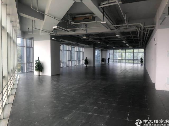 龙岗新出红本高端商务中心火爆招租