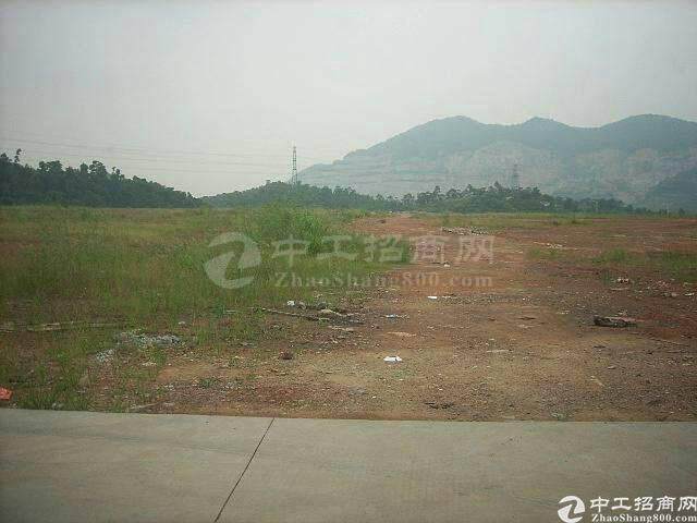 广东省惠州市80亩工业地皮出售2