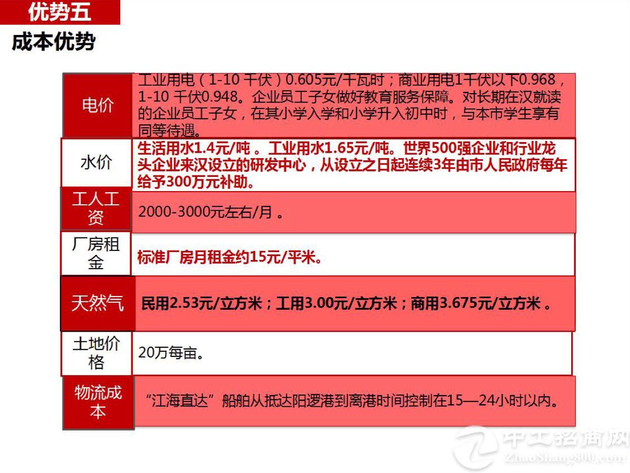 武汉市新洲区100亩国有证工业用地出售5