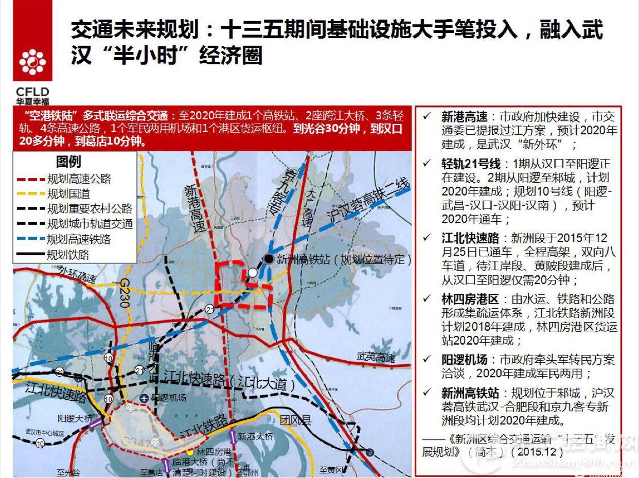 武汉市新洲区100亩国有证工业用地出售4