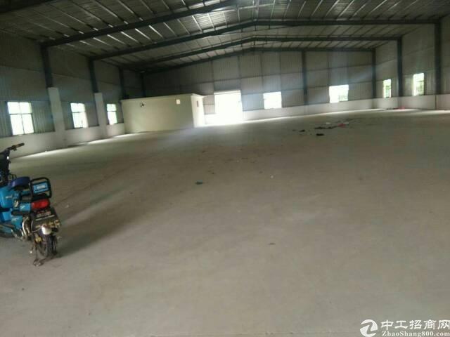 惠城区小金口新出钢构仓库出租6500平可分租，滴水九米