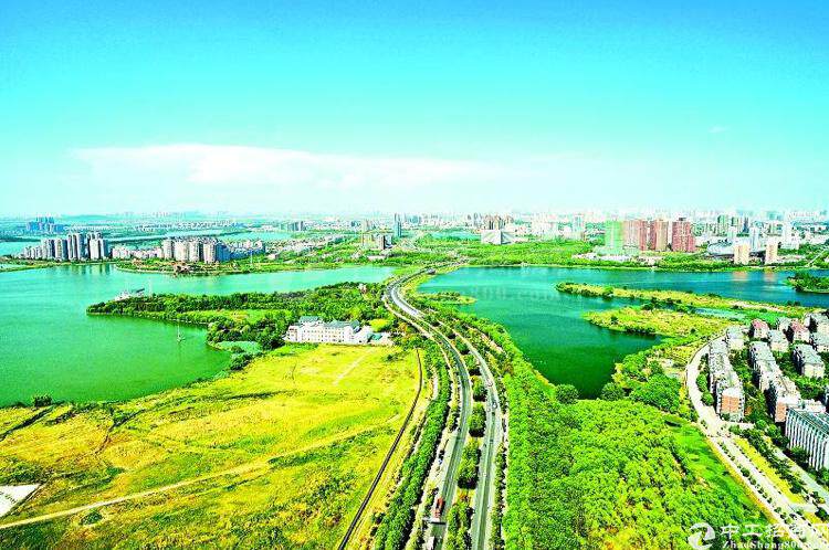 惠州200亩土地出售4