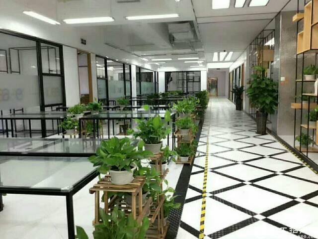 龙岗中心城精装修写字楼出租