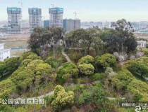 南京国有土地出售、30亩起售