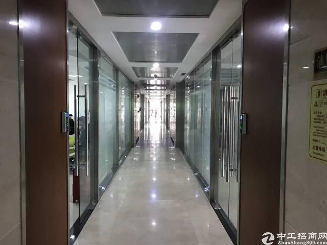 (出租)C33创意园 全新招租 使用率7成 带政府20补贴