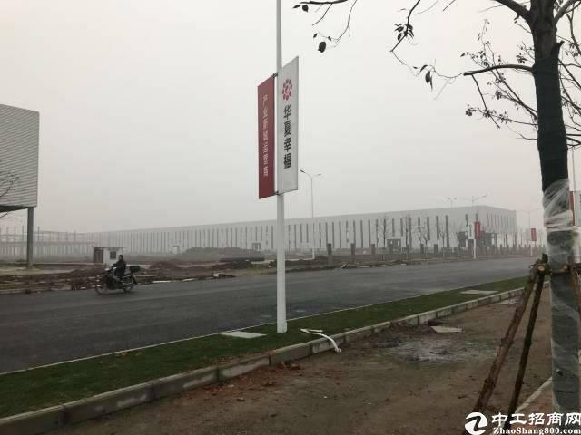 广东珠海市斗门区国有土地出售4