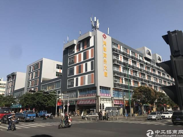 (出租)无中介费9.5新装修智能办公室鸿都商务大厦 写字楼