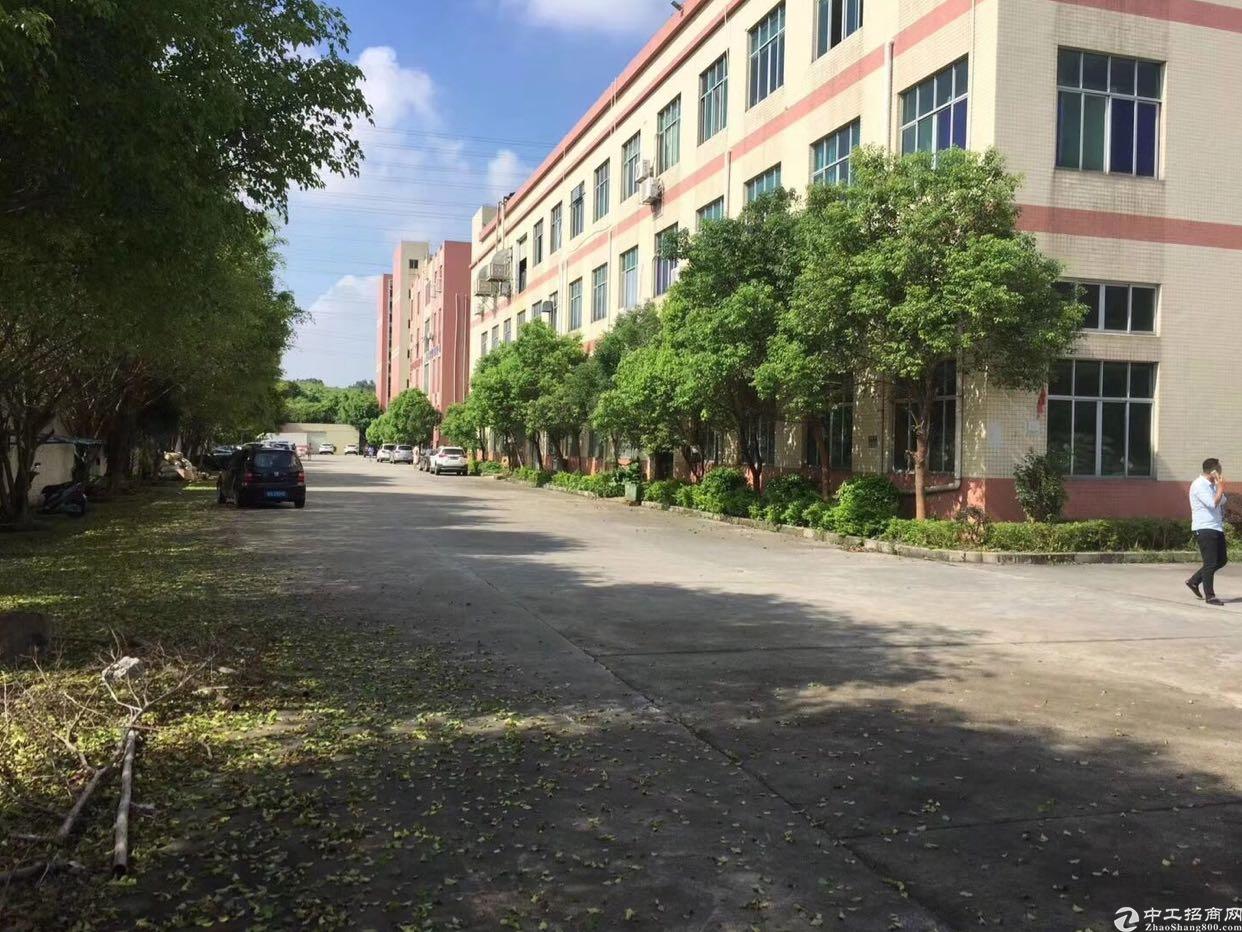 惠阳新玗独门独院厂房出租