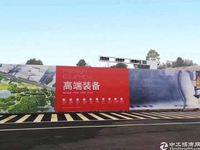 湖北武汉新洲双柳80亩政府工业用地分售3