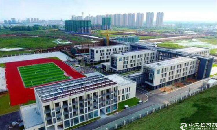南京开发区900亩国有指标工业用地20亩起分割3