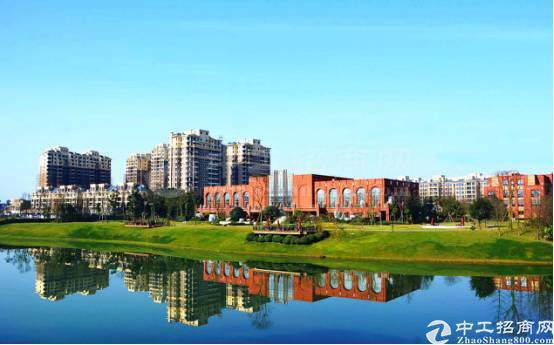 成都蒲江市项目国有指标土地招拍挂