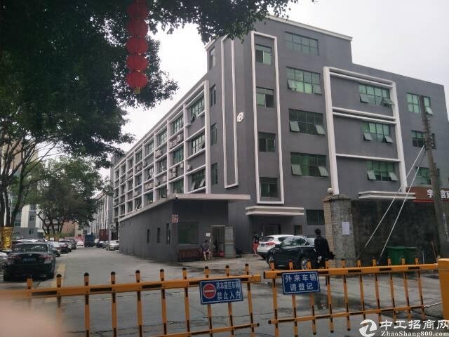龙华龙胜地铁口全新升级电商园及办公室仓库出租
