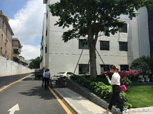 老铁们猜猜我发的啥?