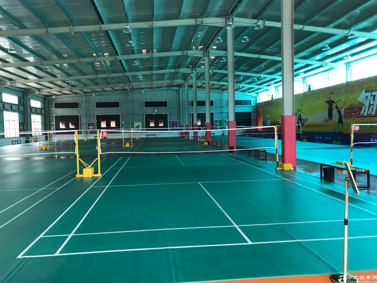 观澜富民钢构5000平方招租中