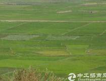 惠州国有土地120亩低价出售