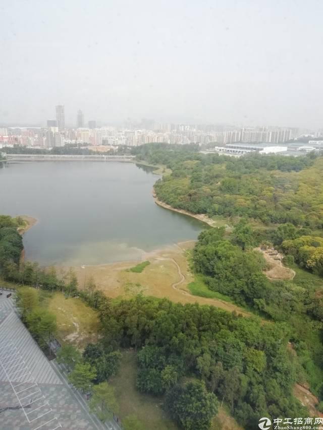 龙岗复试写字楼招租
