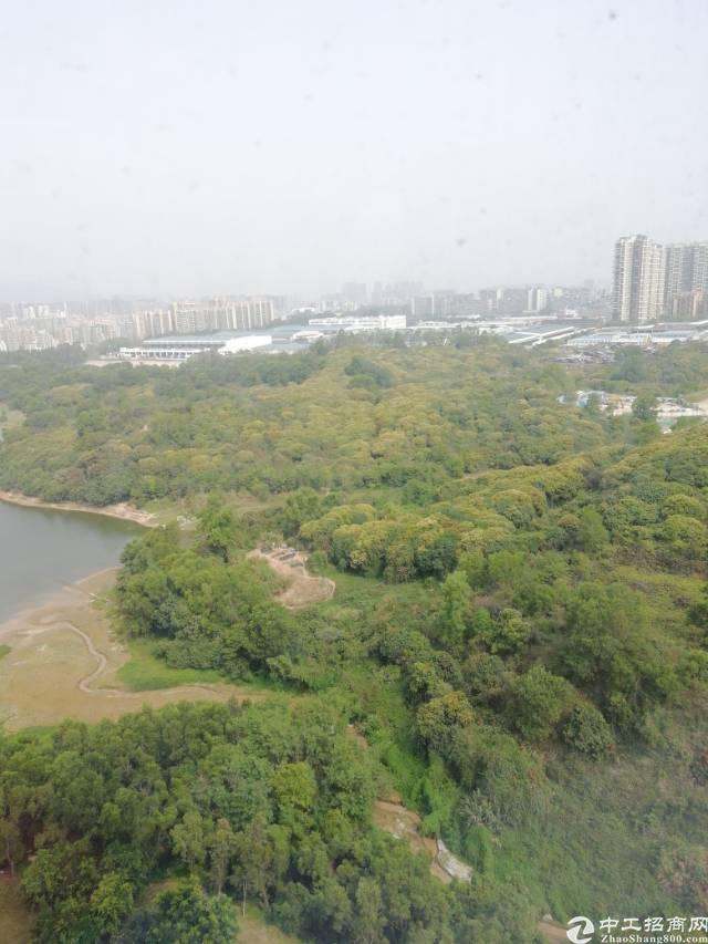 龙岗复试写字楼招租