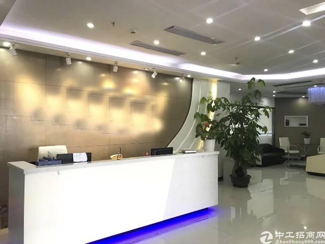 大浪行政中心附近新出带豪华装修无转让费