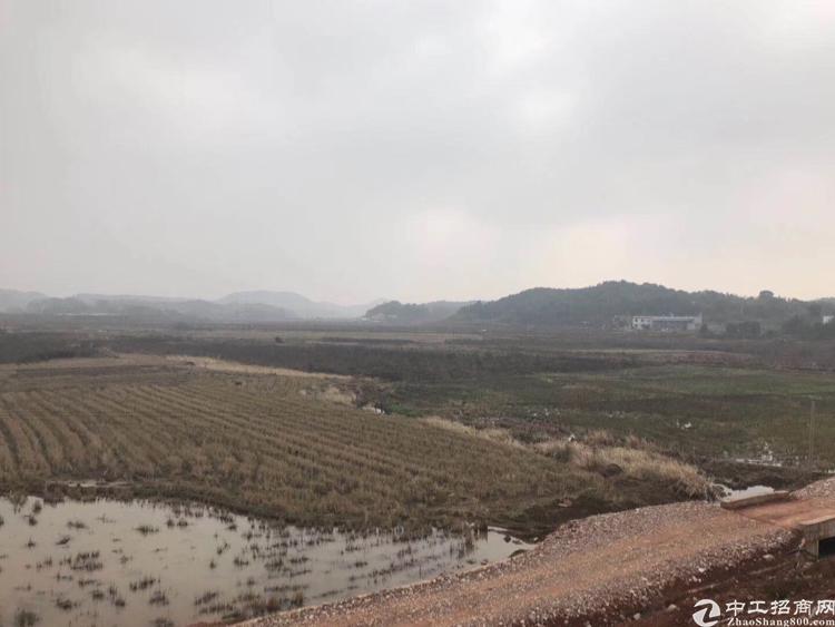 湘潭市雨湖国有指标土地出售4