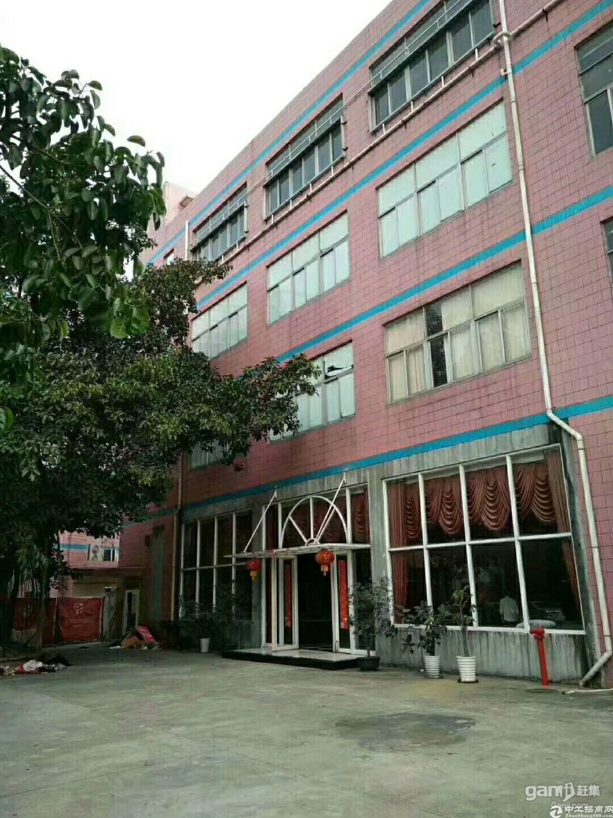 横岗地铁口甲级写字楼出租