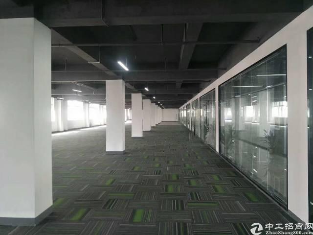 龙华富士康对面高档写字楼(大小可分租)