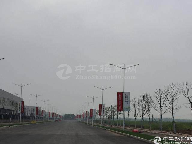 深圳周边千亩国有土地出售，大小分割204