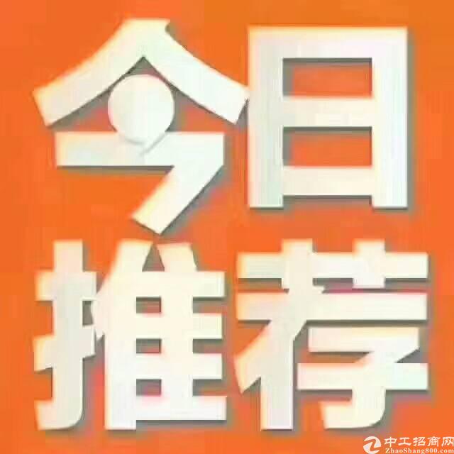 惠州惠东国有土地出售1