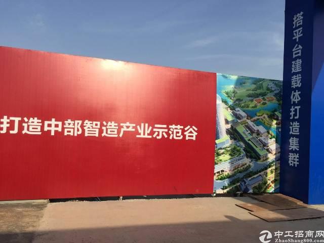 深圳周边红本土地招标三通一平产权清晰
