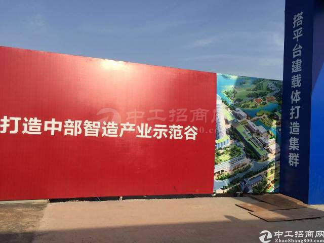 深圳周边红本工业用地招标产权清晰三通一平