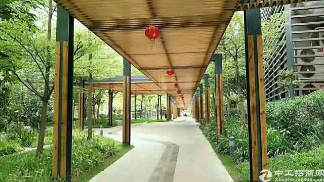 松岗带空调红本写字楼480平方原房东出租
