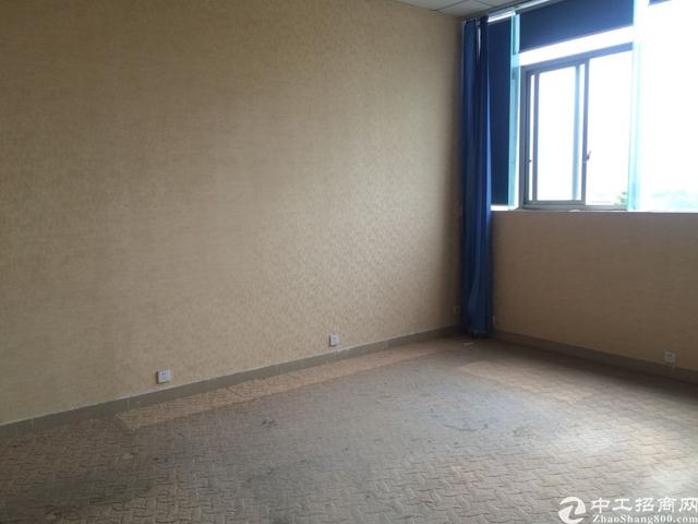 沙井西环路200平精装修写字楼出租免中介费