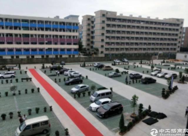 看湖景办公,精装写字楼特价出租